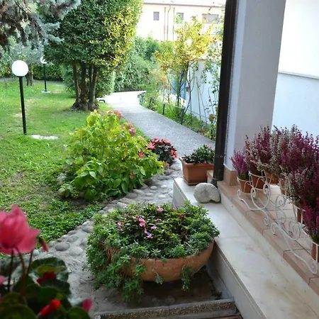Flores * Lazise