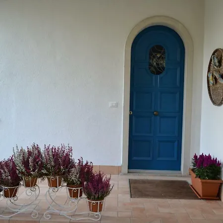 Flores *