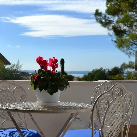 Flores Lazise